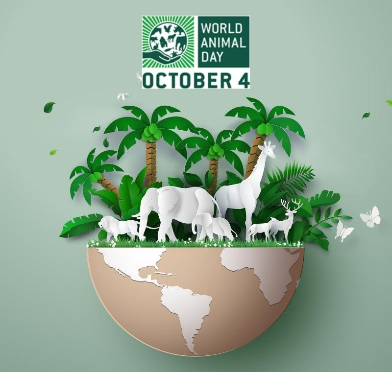 KOKONI's Eco-Friendly 3D Printing Solutions for World Animal Day